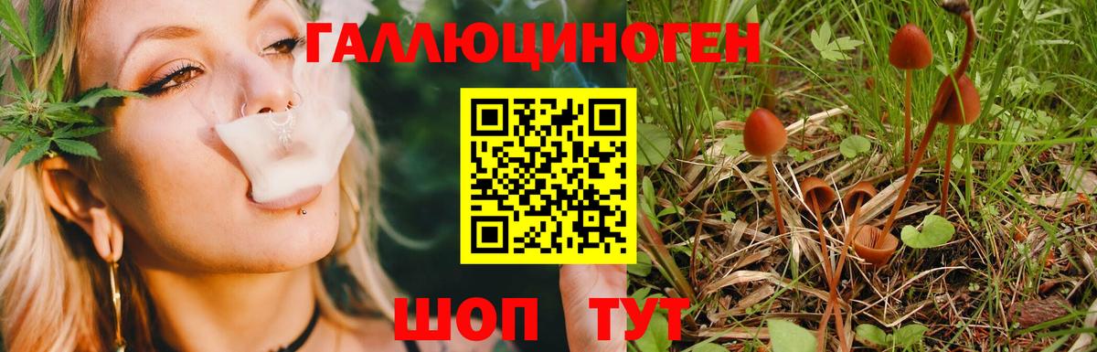 Каменск-Уральский  Галлюциногенные грибы Psilocybine cubensis  Вход с VPN 