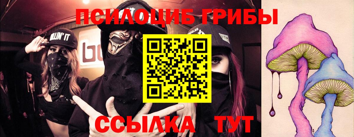 Галлюциногенные грибы прущие грибы Каменск-Уральский